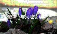 街霸4cg與河池街霸4線下的原因