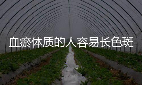 血瘀體質(zhì)的人容易長(zhǎng)色斑嗎？血瘀體質(zhì)者如何祛色斑呢？