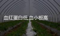 血紅蛋白低,血小板高  我們需要做的是什么
