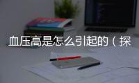 血壓高是怎么引起的（探究高血壓的成因和預防方法）