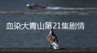 血染大青山第21集劇情詳細介紹