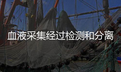 血液采集經過檢測和分離之后需“放療”