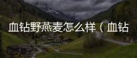 血鉆野燕麥怎么樣（血鉆野燕麥有用嗎）