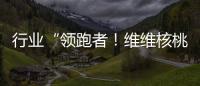行業(yè)“領(lǐng)跑者！維維核桃乳有賣點(diǎn)、有利潤(rùn)！