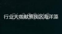 行業大咖獻策我區海洋藻類資源開發