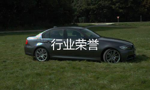 行業榮譽