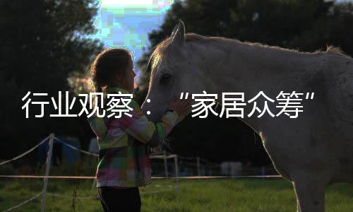 行業觀察：“家居眾籌”項目亂象頻出