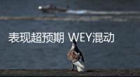 表現(xiàn)超預(yù)期 WEY混動(dòng)P8“盲訂”一周破3000臺(tái)