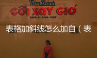 表格加斜線怎么加自（表格加斜線怎么加）