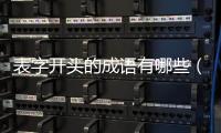 表字開頭的成語有哪些（表字開頭的成語）
