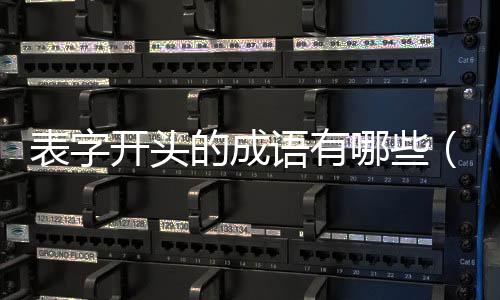 表字開頭的成語有哪些（表字開頭的成語）