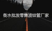 衡水批發零售波紋管廠家批發