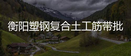 衡陽塑鋼復(fù)合土工筋帶批發(fā)價格
