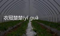 衣冠楚楚(yī guān chǔ chǔ)是怎么回事?