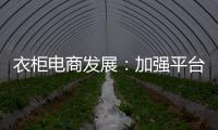 衣柜電商發展：加強平臺推廣、提升用戶粘性