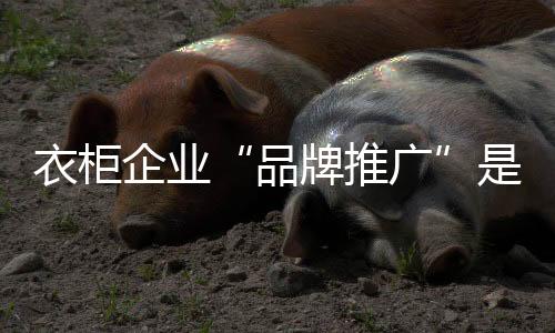 衣柜企業(yè)“品牌推廣”是發(fā)展重心
