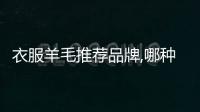 衣服羊毛推薦品牌,哪種羊毛衣服好
