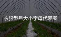 衣服型號大小字母代表圖片（衣服型號大小字母代表什么）