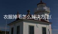 衣服掉毛怎么解決方法(貓掉毛怎么解決方法)