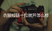 衣服拉鏈一拉就開怎么修理（衣服拉鏈一拉就開）
