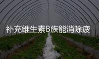 補充維生素B族能消除疲勞 這是真的嗎