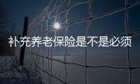 補(bǔ)充養(yǎng)老保險(xiǎn)是不是必須交的呢