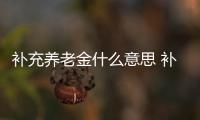 補(bǔ)充養(yǎng)老金什么意思 補(bǔ)充養(yǎng)老保險(xiǎn)是什么