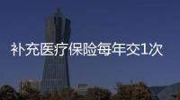 補充醫療保險每年交1次嗎怎么交
