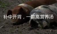 補中開胃，一款高營養湯水要試試