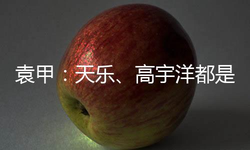 袁甲：天樂、高宇洋都是可以歸化的優秀球員，但問題是能否爭取到