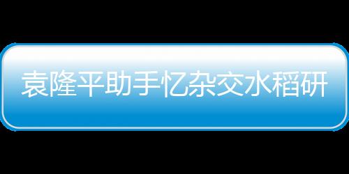 袁隆平助手憶雜交水稻研究：發現“野敗”是鍥而不舍的結果