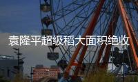 袁隆平超級稻大面積絕收：抗病能力差