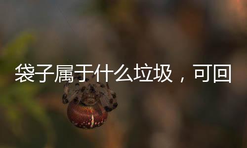 袋子屬于什么垃圾，可回收物或干垃圾（看有無污染）