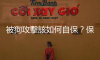 被狗攻擊該如何自保？保持冷靜，保護臉部、喉嚨等重要部位