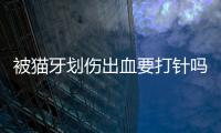 被貓牙劃傷出血要打針嗎