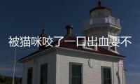 被貓咪咬了一口出血要不要打針，被貓咬了沒出血卻鼓起來的原因