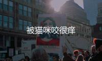被貓咪咬很癢