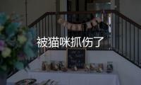 被貓咪抓傷了