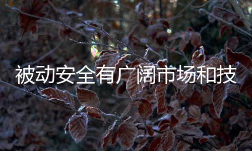 被動安全有廣闊市場和技術提升空間