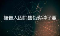 被告人因銷售偽劣種子罪獲刑 典型案例警示農資市場