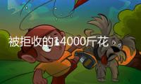 被拒收的14000斤花菜，第二天全部售完！
