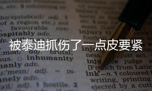 被泰迪抓傷了一點皮要緊嗎
