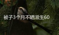 被子3個月不曬滋生600萬只螨蟲，你多久沒有曬過被子了？
