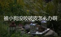 被小狗沒咬破皮怎么辦啊？被小狗咬沒破皮沒出血不打針有事嗎
