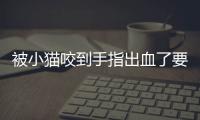 被小貓咬到手指出血了要打疫苗嗎(被小貓咬到沒出血沒破要打針嗎)