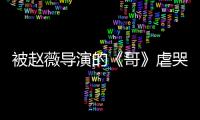 被趙薇導演的《哥》虐哭！網友紛紛為助演嘉賓王智表演打call