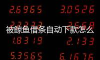 被鯨魚借條自動下款怎么客服？鯨魚借條客服電話是多少？