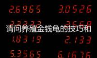 請問養殖金錢龜的技巧和注意事項 養殖金錢龜價格