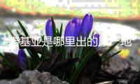 諾基亞是哪里出的原產地在哪里（諾基亞原產地是哪里）