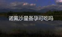 諾氟沙星備孕可吃嗎